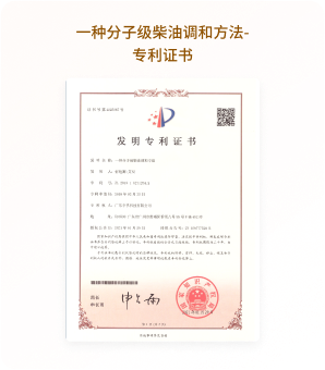 中国专利 6